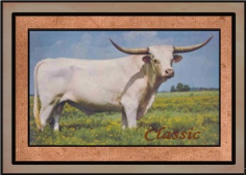 Classic, Butler Longhorn Bull